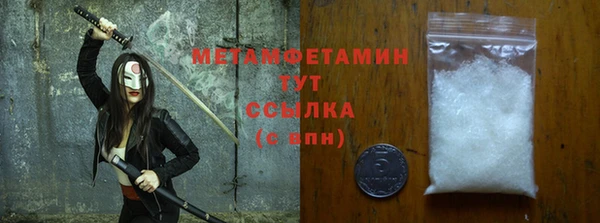 индика Каменногорск