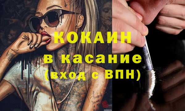индика Каменногорск