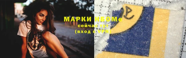индика Каменногорск