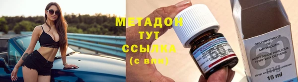 индика Каменногорск