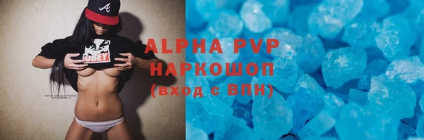 индика Каменногорск