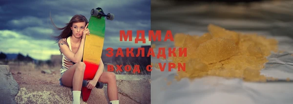 индика Каменногорск