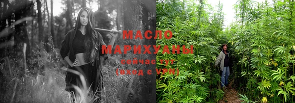 индика Каменногорск