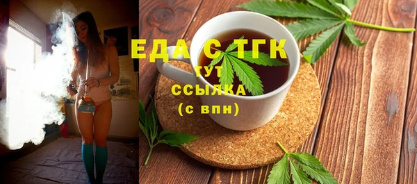 индика Каменногорск