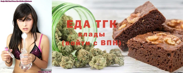 индика Каменногорск