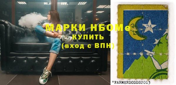 индика Каменногорск