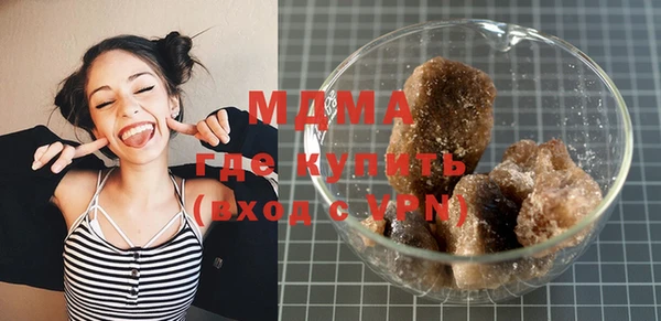 индика Каменногорск