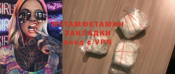 индика Каменногорск
