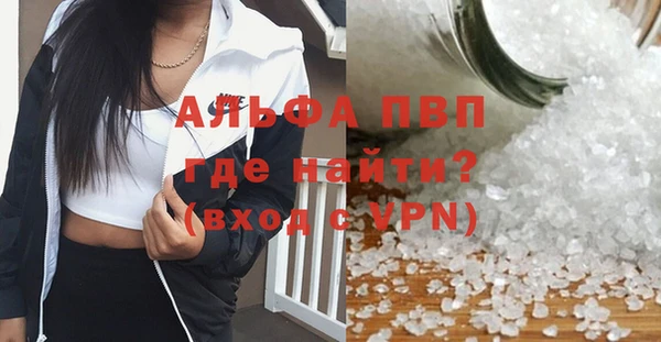 индика Каменногорск