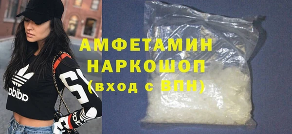 индика Каменногорск