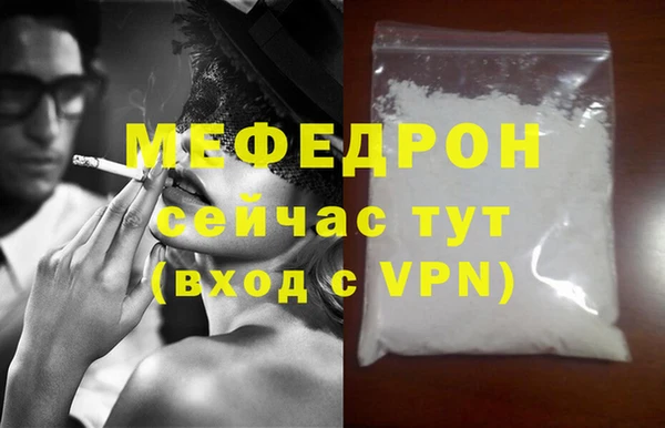 индика Каменногорск