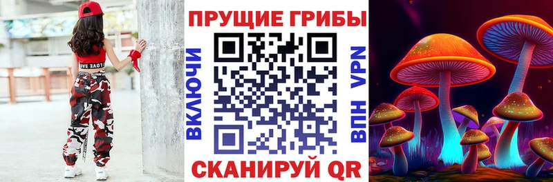 Галлюциногенные грибы Cubensis  Купить где  Малмыж 